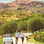 Il Segreto Di Pietrafitta Gospodarstwo agroturystyczne San Gimignano